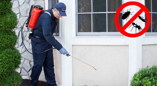Efeler Karınca İlaçlama böcek ilaçlama ve haşere kontrolü — ilaclama-tr.com